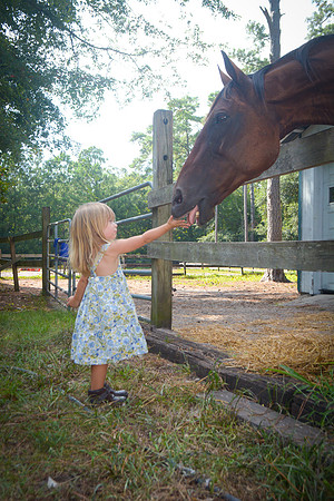 JWPhotography (45 of 43)