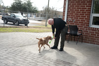 New Hanover County Sherrifs Animal Services