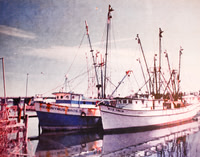 Hierynomus