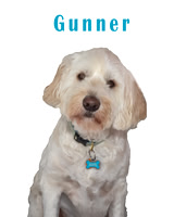 Gunner