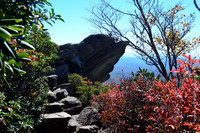 JWPhotography-167