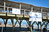 2023 Polar Plunge