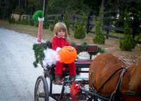 Merry Halloween